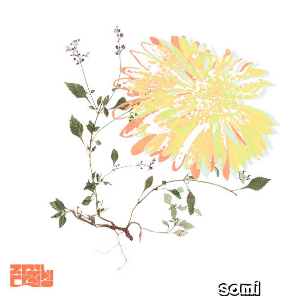 Image Cover